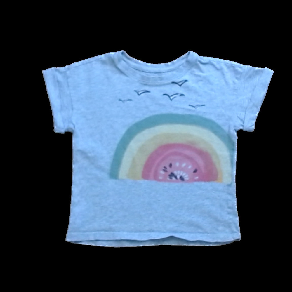 Tea Collection Girls Gray | Watermelon Rainbow Shirt size: 3T